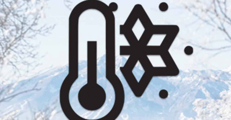 Miniatura artykułu: 4603